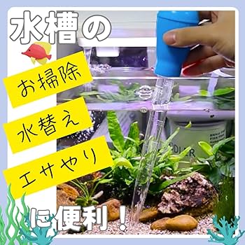 ❣️未使用品❣️水槽 アクアリウム クリーナースポイト 掃除 給餌 卵 稚魚 Amazon.co.jp: 水槽用 スポイト 多機能 水換え お掃除用